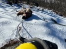 IMG_8095.jpeg