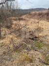 IMG_0589.jpeg
