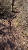 IMG_3461.jpeg