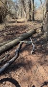 IMG_3460.jpeg