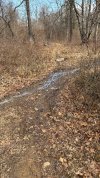 IMG_3438.jpeg