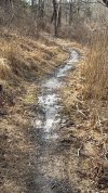 IMG_3422.jpeg