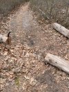 IMG_1988.jpeg