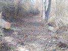 IMG_20250313_153918.jpg