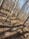 IMG_1960.jpeg