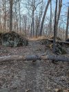 PXL_20250327_215428449.jpg