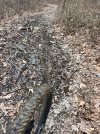 IMG_1694.jpeg