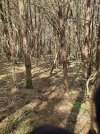 20250401_103212.jpg