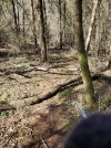 20250401_104006.jpg