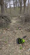 PXL_20250410_161922582.jpg