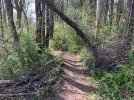 IMG_1624.jpeg
