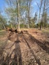 IMG_5076.jpeg