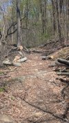 PXL_20250424_174925761.jpg
