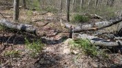 PXL_20250428_165601155.jpg