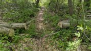 PXL_20250508_165009132.jpg