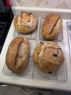 IMG_2715.jpeg