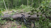 PXL_20250527_165204576.jpg