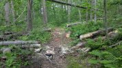 PXL_20250530_181622841.jpg
