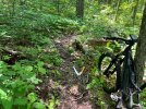 IMG_7753.jpeg
