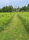 IMG_0711.jpeg