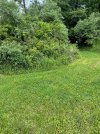 IMG_0712.jpeg
