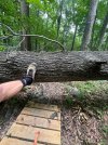 IMG_6108.jpeg