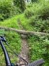 IMG_6119.jpeg