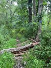 IMG_6124.jpeg