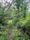 IMG_6125.jpeg