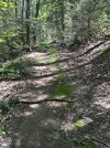 IMG_2966.jpeg