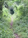 IMG_2025.jpeg