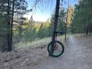 IMG_3138.jpeg