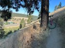 IMG_3140.jpeg