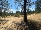 IMG_3157.jpeg