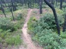 IMG_0411.jpeg