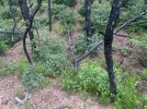 IMG_0412.jpeg