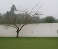 IMG_7410.jpeg