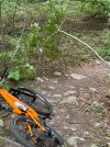 IMG_4575.jpeg