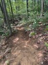 Climb 3.jpg
