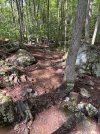 Rock Area 1.jpg