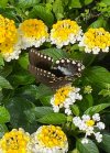 IMG_5422.jpeg
