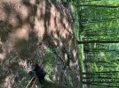 IMG_1716.jpeg