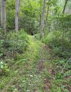 IMG_2669.jpeg