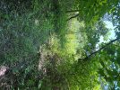 IMG_4829.jpeg