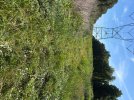 IMG_4831.jpeg