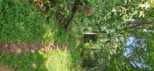 20250816_092654.jpg