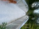 IMG_7103.jpeg