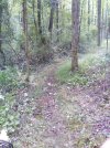 20250816_Grail Tree#2.jpg