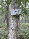 IMG_2293.jpeg