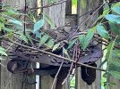 IMG_5501.jpeg